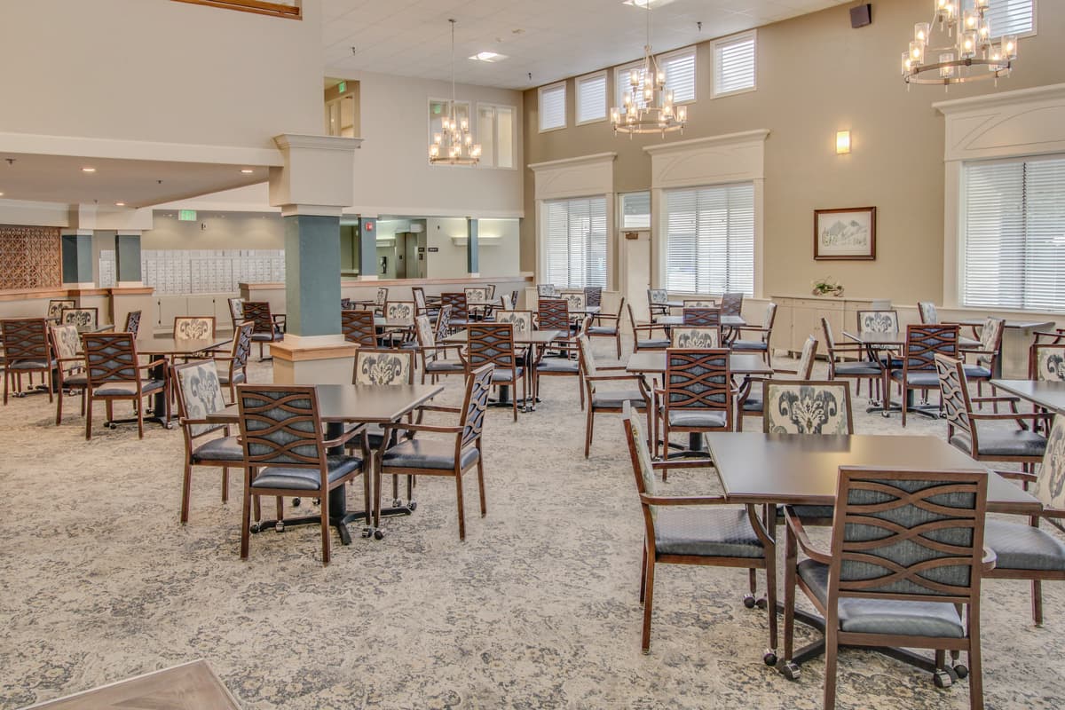 seniors enjoying a delicious restaurant style meal in a bright dining room seniors enjoying a delicious restaurant style meal in a bright dining room
